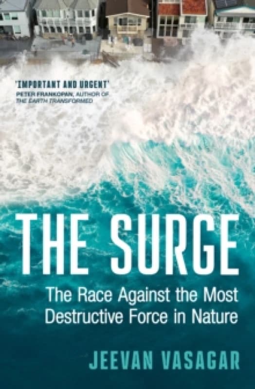 The Surge. Hardback. By Jeevan Vasagar Books