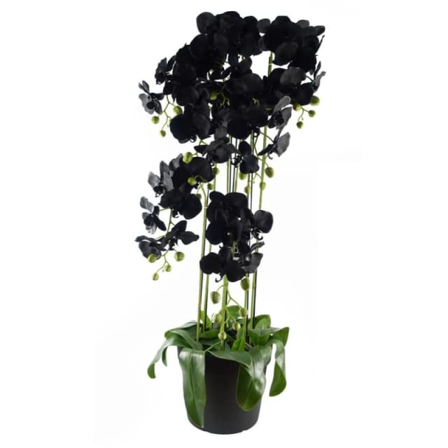 Large Black Orchid Plant Artifcial 41 Real Touch Flowers Botanik, Black BK-40601