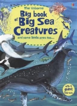 The Usborne Big Book of Big Sea Creatures by Minna Lacey and Fabiano Fiorin and John Rostron and Margaret Rostron Hardback