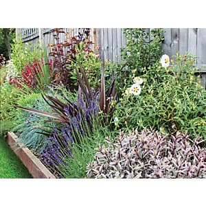 Garden On A Roll Wildlife Border Pack 3m x 90cm Plants