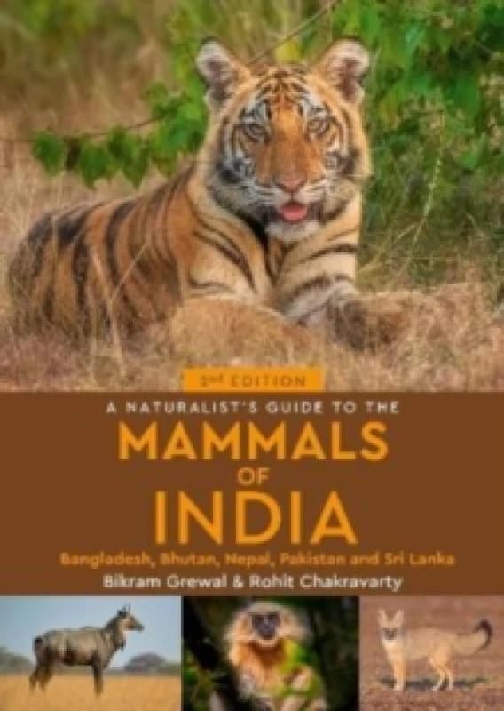 A Naturalist's Guide to the Mammals of India Paperback / softback