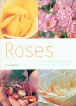 Roses by Amanda Beales Book