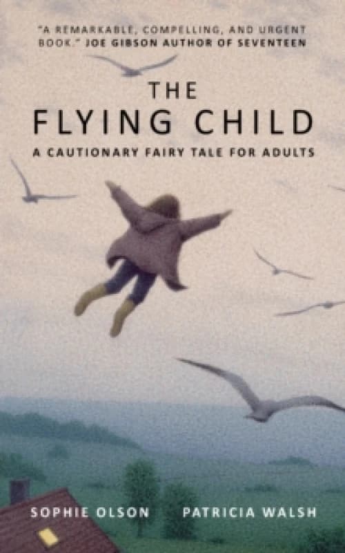 The Flying Child - A Cautionary Fairytale for Adults : Finding a purposeful life after Child Sexual Abuse through compassionate and creative therapy P