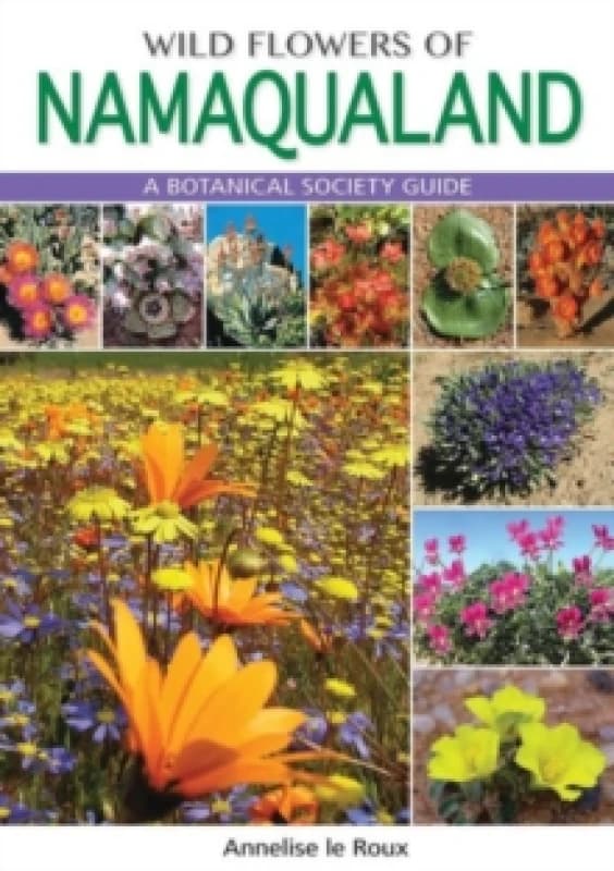 Wild Flowers of Namaqualand : A Botanical Society guide Paperback / softback
