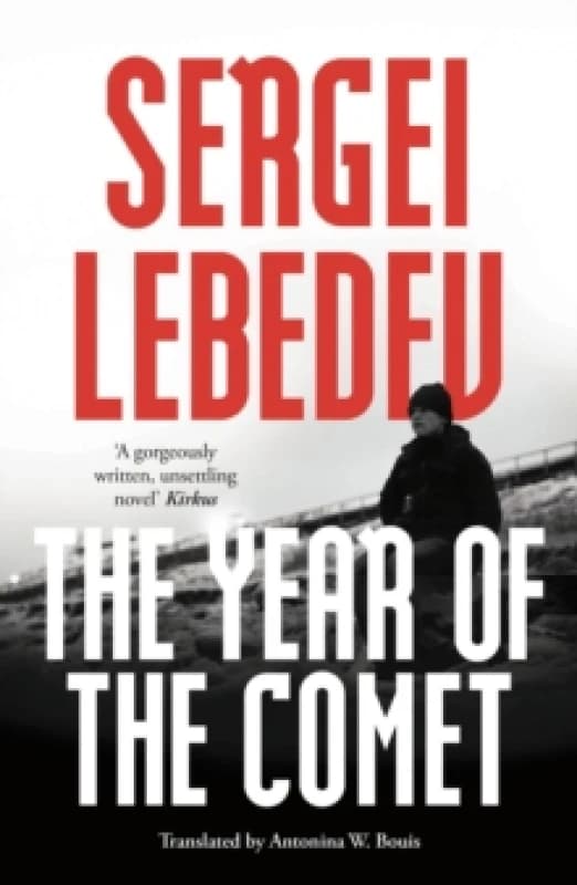 The Year of the Comet Paperback / softback