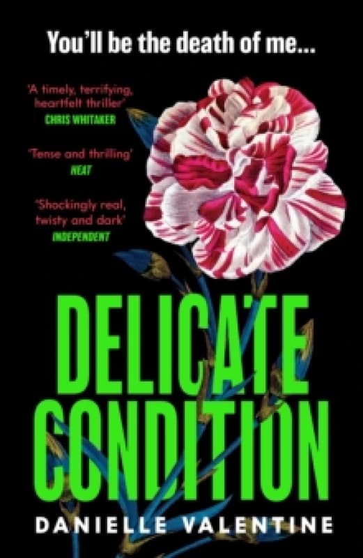 Delicate Condition Paperback / softback