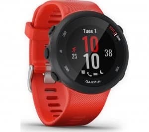 Garmin Forerunner 45 Smartwatch