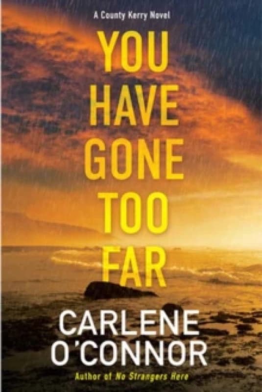 You Have Gone Too Far Paperback / softback