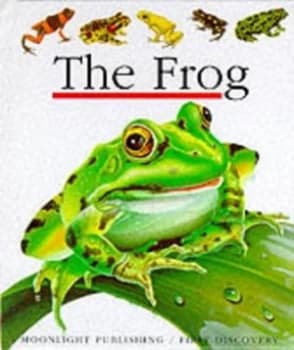 The Frog by Daniel Moignot and Gallimard Jeunesse Hardback