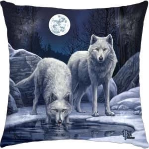 Warriors Of Winter Cushion