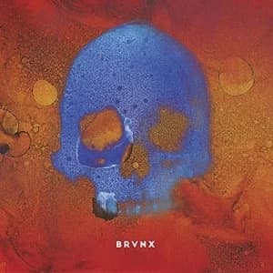 BRVNX - V Vinyl