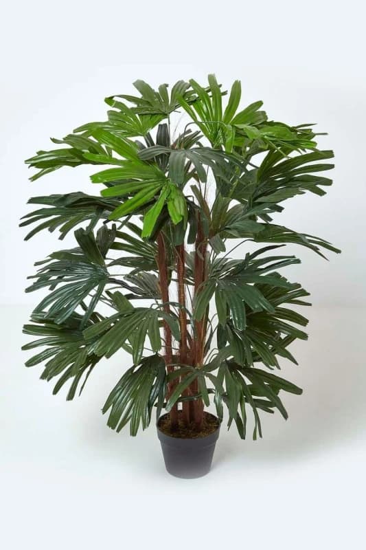 Homescapes Artificial Rhapis Excelsa Palm Tree, 120cm Tall in Green Green Unisex