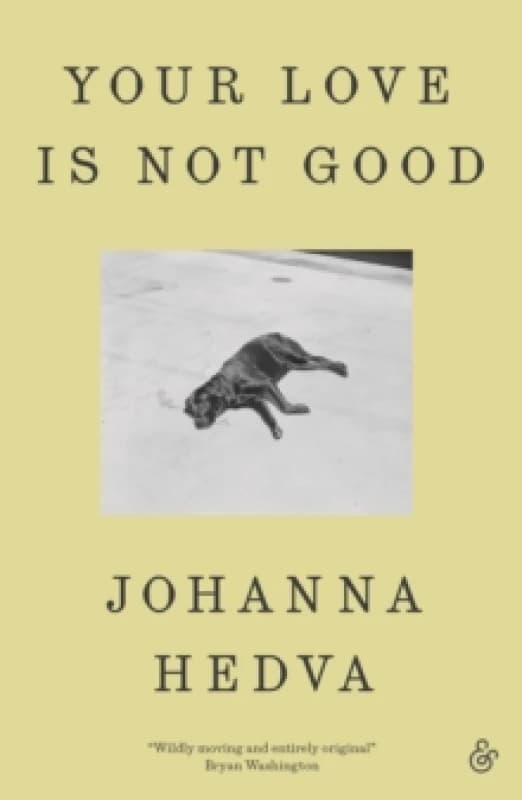 Your Love Is Not Good paperback Paperback / softback