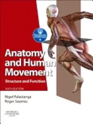 anatomy and human movement structure and function