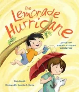 lemonade hurricane a story of mindfulness and meditation