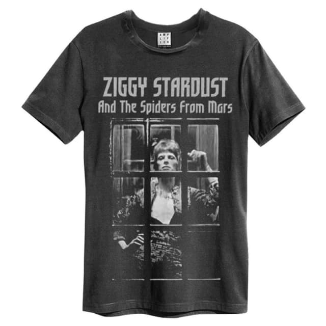 Amplified Amplified Men The Rise and Fall David Bowie T-Shirt in Charcoal Size: Small Charcoal S Male 5063470007660