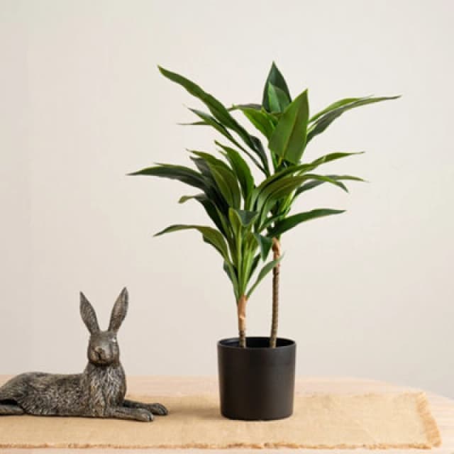 Scottish Everlastings Ltd. Scottish Everlastings Artificial 60Cm Real Touch Dracaena