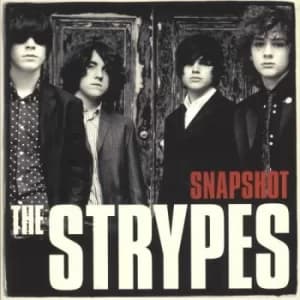 The Strypes Snapshot 2013 UK vinyl LP 3738521