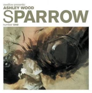 Ashley Wood by Ashley Wood Hardback