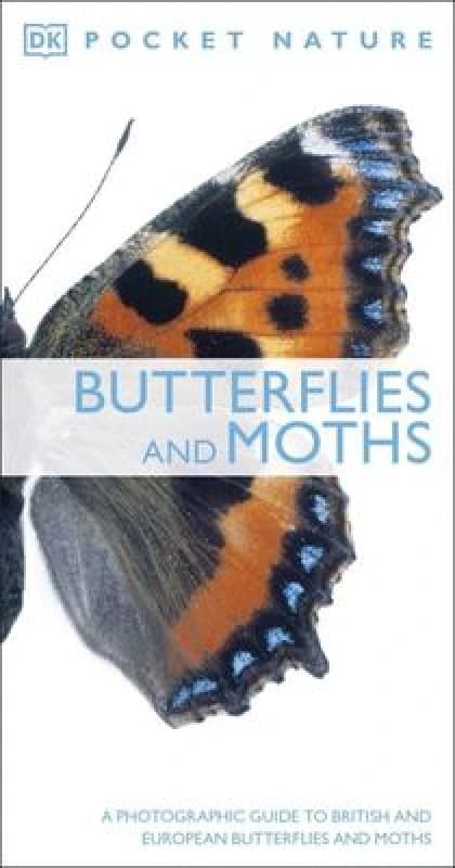 Butterflies and Moths by Paul Sterry and Andrew Mackay Paperback