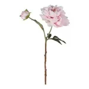 Gallery Interiors Set of 6 Taylor Peony Spray Pink