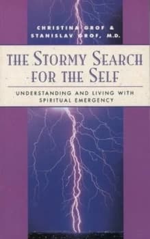 The Stormy Search for the Self by Christina Grof Paperback