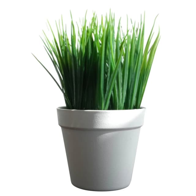 Leaf 22cm Artificial Grass Plant