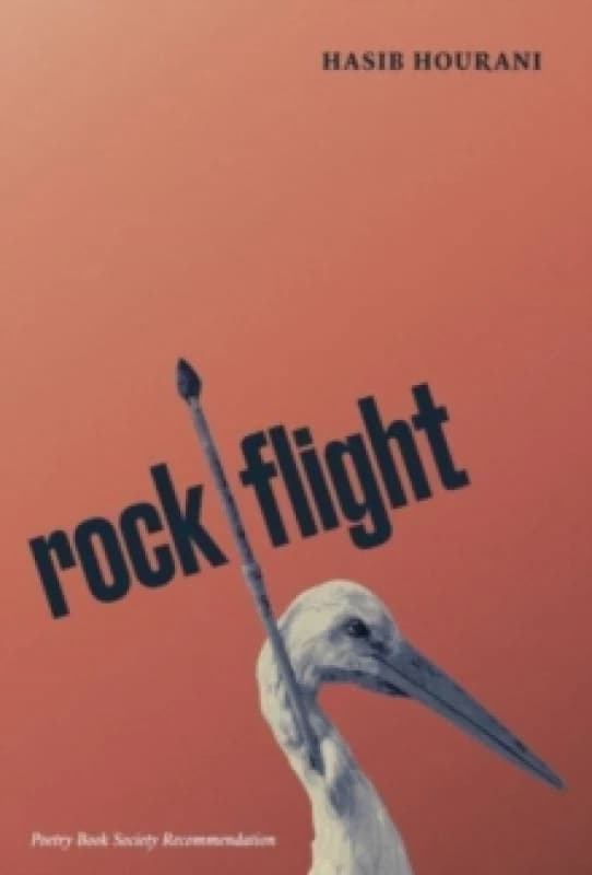 rock flight Paperback / softback