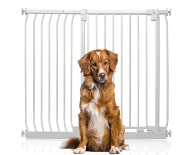 Bettacare Extra Tall Elite Dog Gate, 116Cm - 125Cm, Matt White, Extra Tall 96.8Cm In Height, Pressure Fit Pet Gate