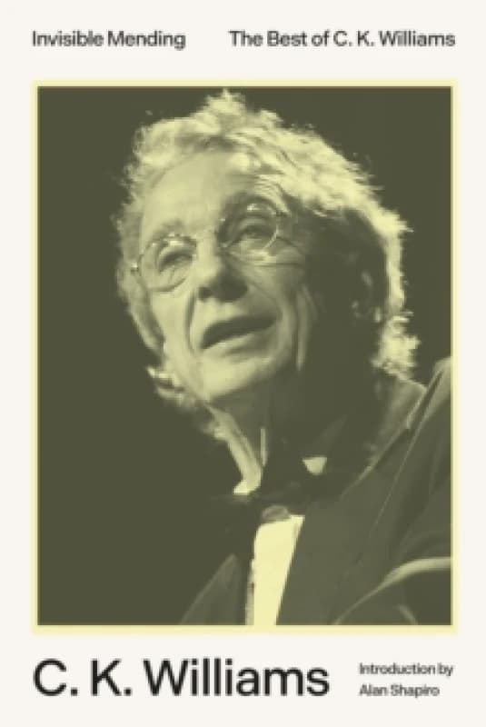 Invisible Mending. Paperback. By C K Williams Books