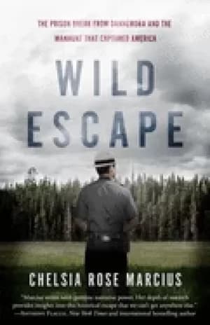 wild escape the prison break from dannemora and the manhunt that captured a