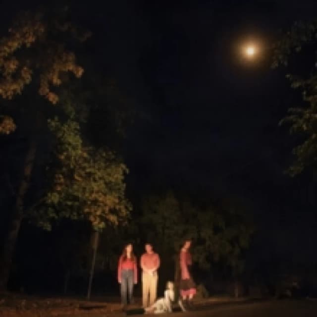 The Ophelias Spring Grove (Vinyl) 12 Album Coloured Vinyl (Limited Edition)