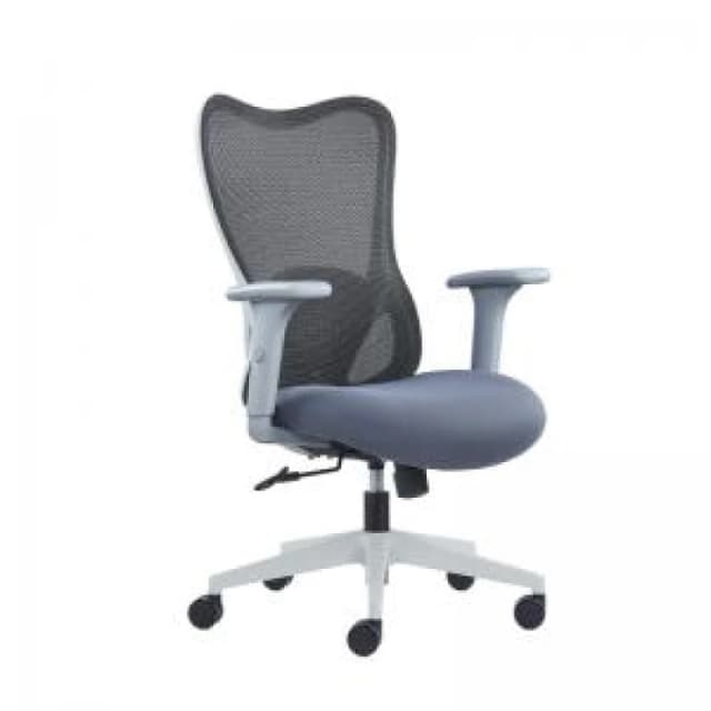 High Back Mesh Chair with Adjustable Lumbar Support, Arms & NTDSBCMJ375GY