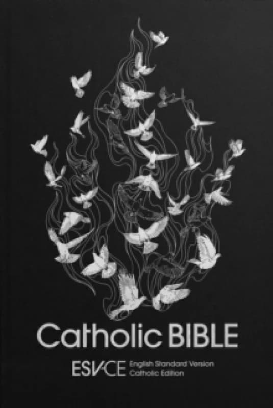 Catholic Bible. Hardback Books