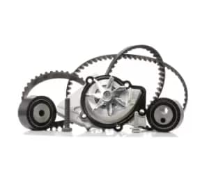 INA Water Pump + Timing Belt Kit FIAT,PEUGEOT,CITROEN 530 0111 30 081696,0816A9,082960 082961,082962,082963,083028,083029,083030,083031,1201C4,081696
