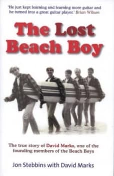 The Lost Beach Boy by Jon Stebbins Hardback