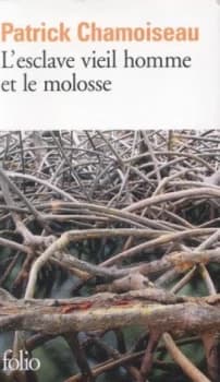 Lesclave Vieil Homme Et Le Molosse by Patrick Chamoiseau Paperback