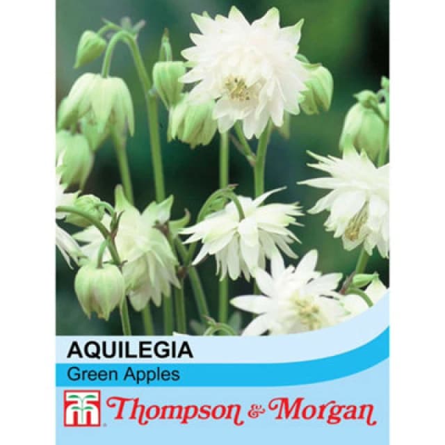 Thompson & Morgan Aquilegia X Hybrida Green Apples 1 Seed Packet (20 Seeds)