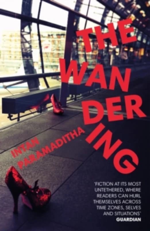 The Wandering Paperback / softback