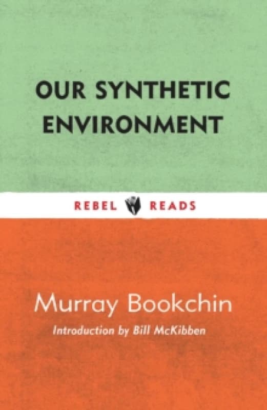 Our Synthetic Environment Paperback / softback