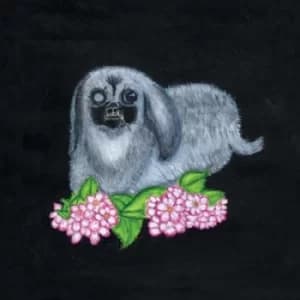 Guadalupe Plata 2017 by Guadalupe Plata Vinyl Album