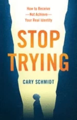 Stop trying by Cary Schmidt