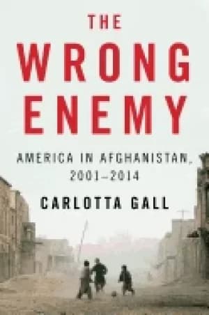 wrong enemy america in afghanistan 2001 2014