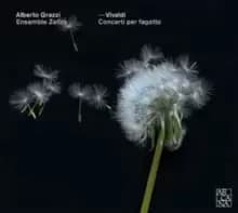 Vivaldi: Concerti Per Fagotto