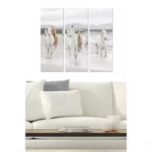 MDFFTR1021 Multicolor Decorative MDF Painting (3 Pieces)