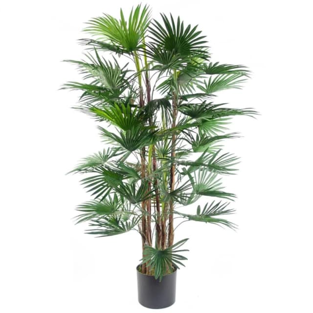 Leaf Fan Palm Artificial Tree 120cm Botanik Green
