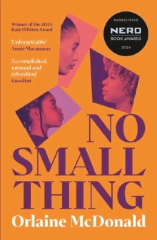 No Small Thing : 'One of the best debut novels Ive read in recent years' Bernardine Evaristo Paperback / softback