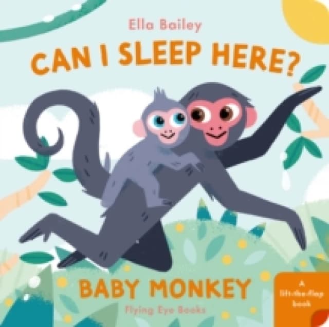 Can I Sleep Here? Baby Monkey Board book