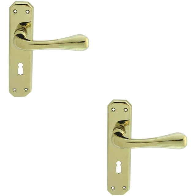 Loops 2x PAIR Heavy Duty Handle on Angular Lock Backplate 180 x 40mm Stainless Brass Metallics