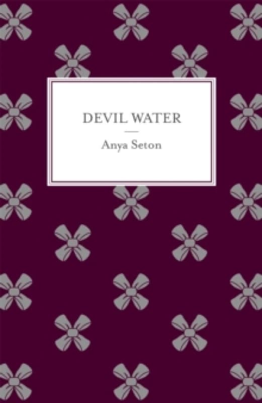 Devil Water Paperback / softback